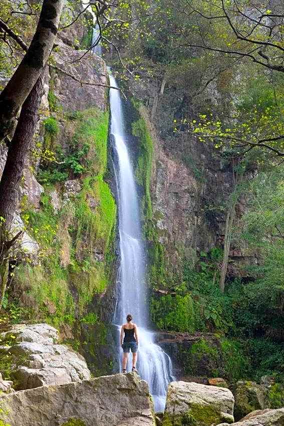 Hotel Arenas de Cabrales- apartamentos