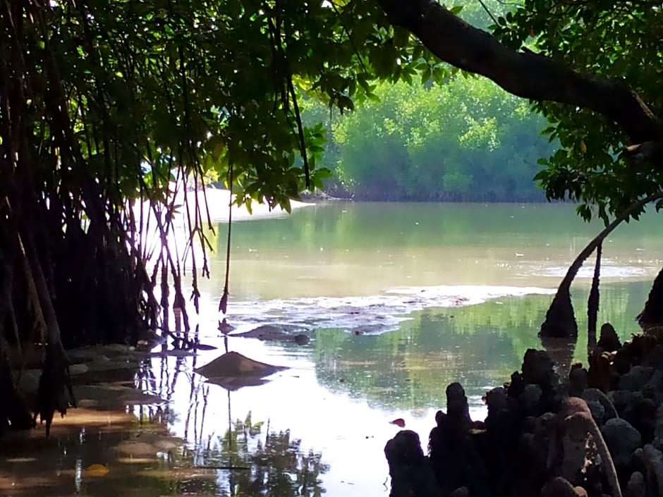 Courtyard Guesthouse