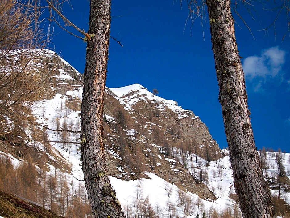 Hotel Pensione Dolomiti