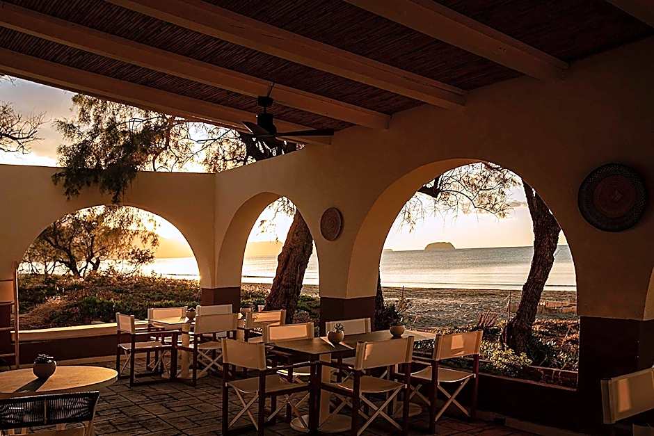 Domes Aulus Zante, Autograph Collection