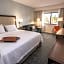 Hampton Inn By Hilton Albany-Western Ave/University Area