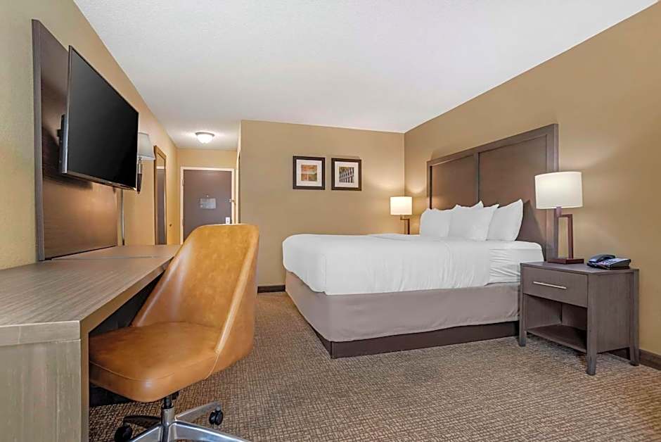 Comfort Inn Opelika - Auburn