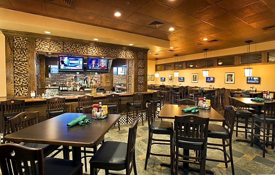 Holiday Inn Washington-Dulles International Airport By IHG