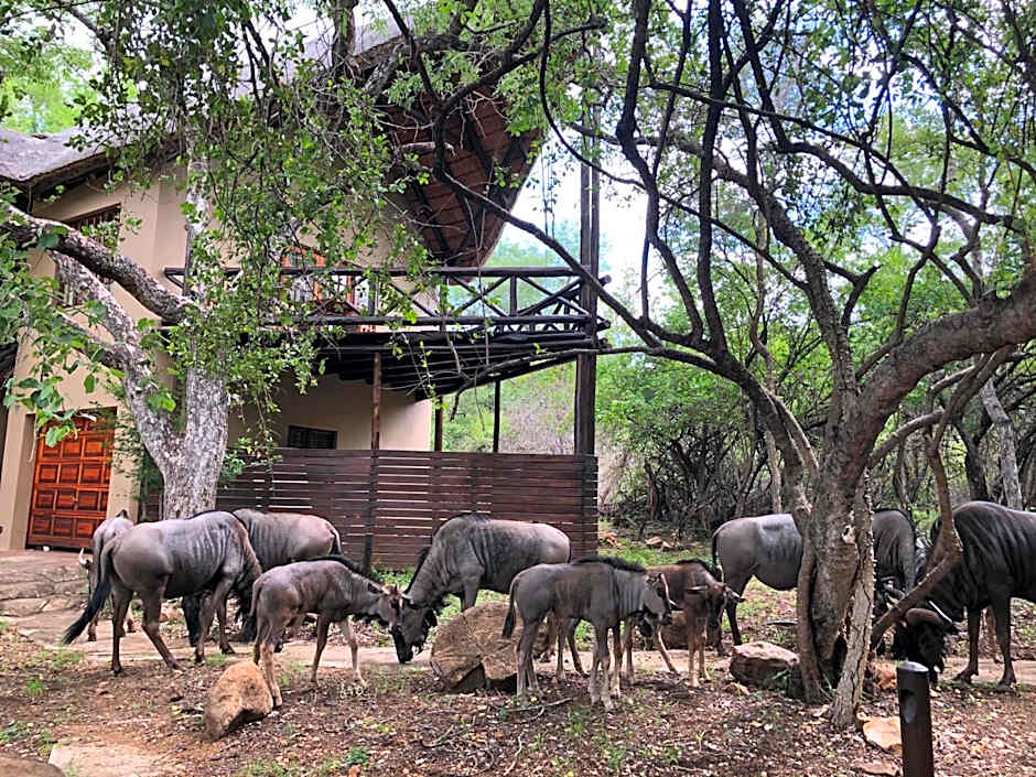 Kruger Private Lodge