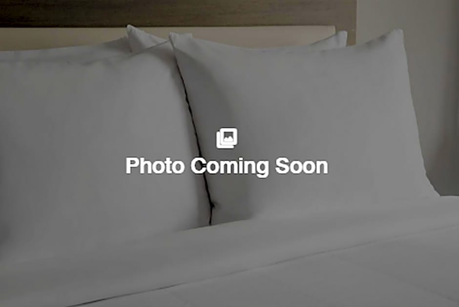 Photo 1 of 7 of 1 King Bed Guestroom, Accessible