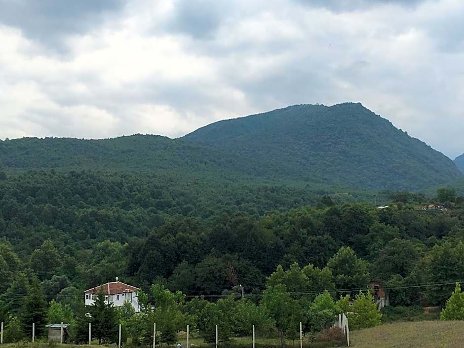 PASHA APART~BOUTİQUE HOTEL/YALOVA