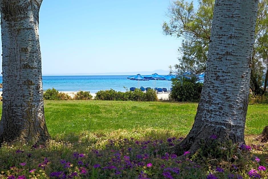 Theophano Imperial Palace