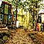 Eco Village In The Forest