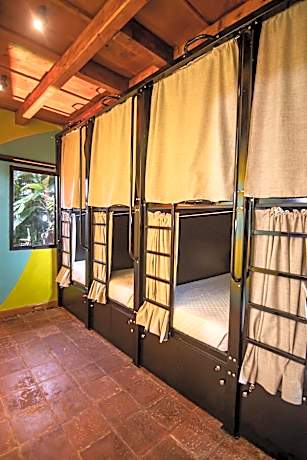 Bed in 8-Bed Mixed Dormitory Room