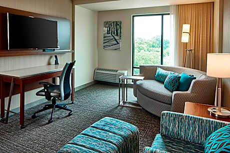 Suite, 1 King, Sofa bed