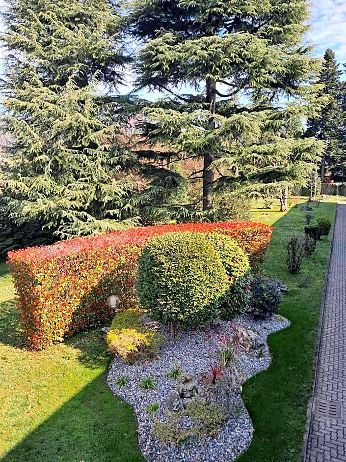 Hotel City Legnano