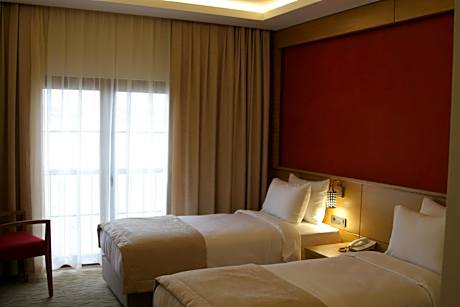 Deluxe Double or Twin Room with City View