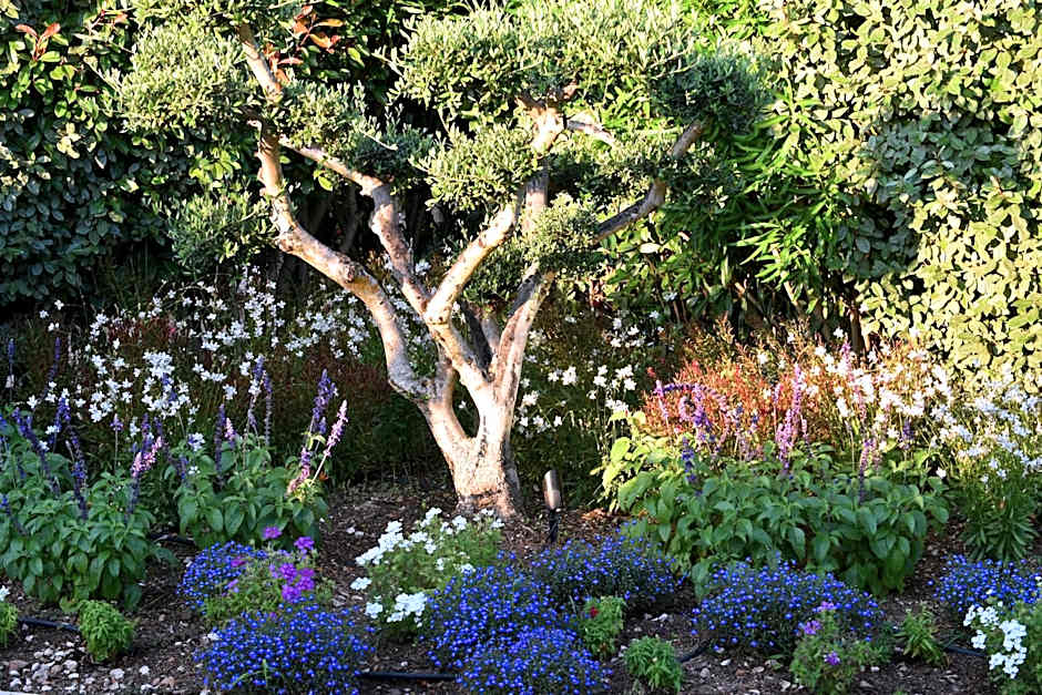 Hôtel Alivi Di Santa Giulia