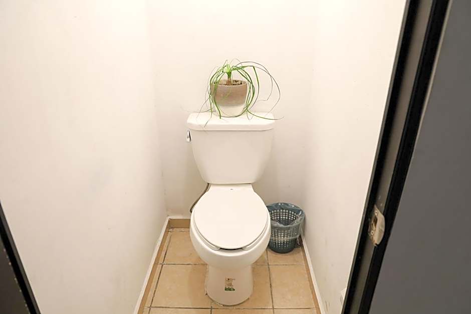 ANTIQUE Guest House Fundidora