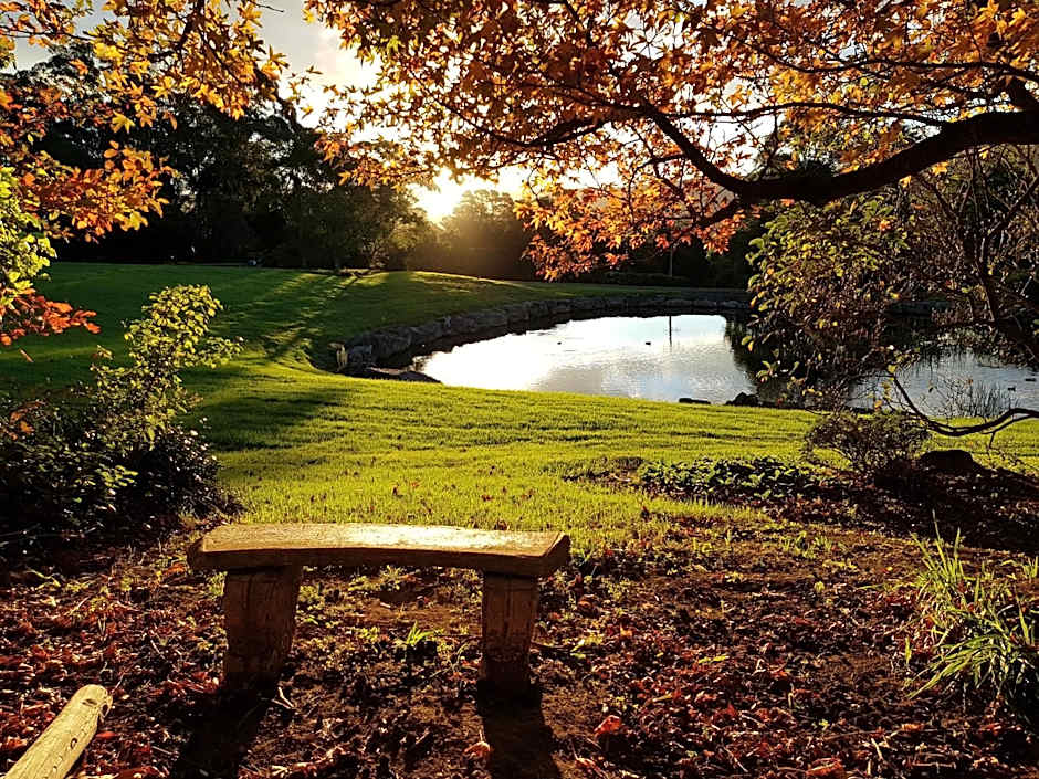 The Drawing Rooms of Berry