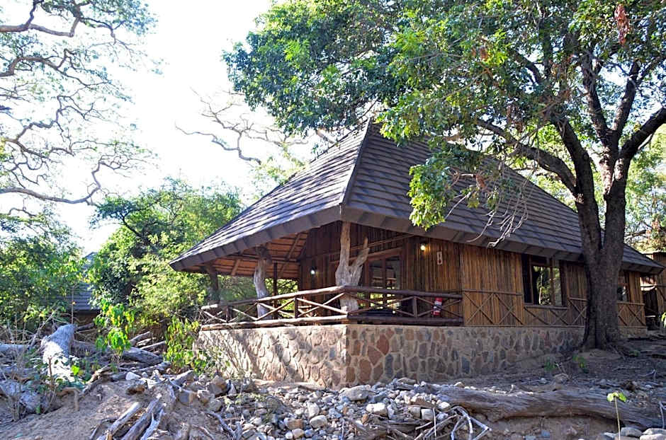 Moholoholo Forest Camp