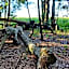 Woodland Gardens Self-Catering & Pet-Friendly Lodge