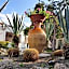 Hotel Park Calitto