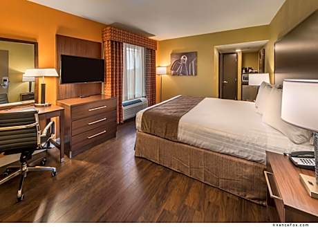 King Room with Sofa Bed and Roll-In Shower - Disability Access/Non-Smoking