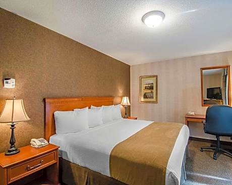 King Suite with Sofa Bed - Smoking