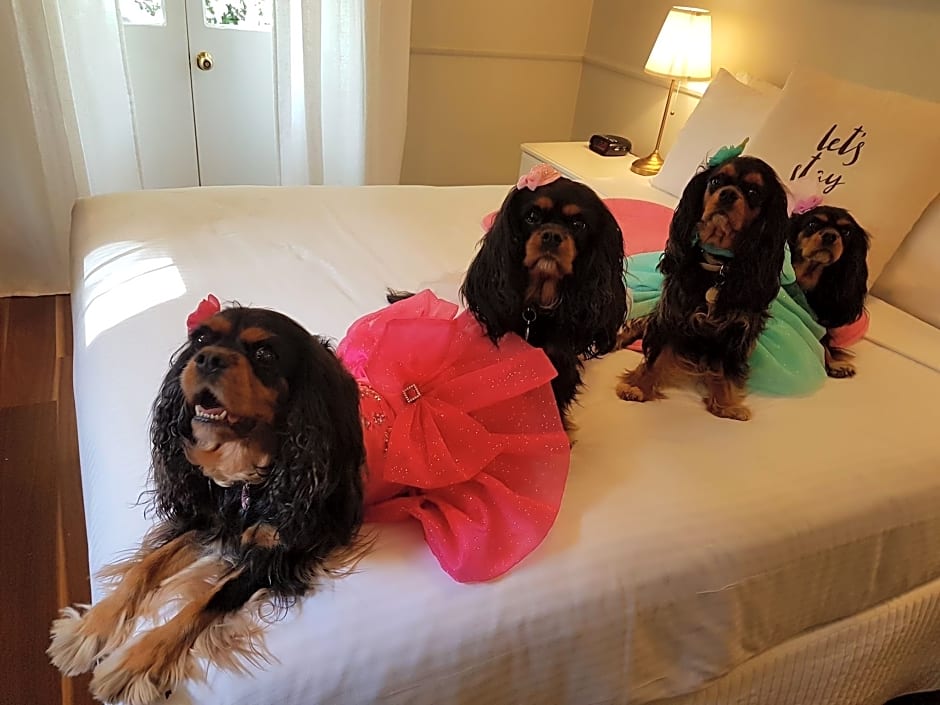 Photo 1 of 2 of Pet-Friendly
