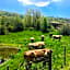Hotel Monte Baldo
