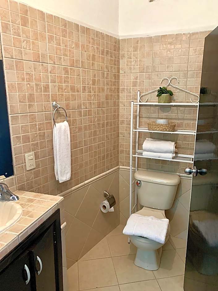 Satya Suites & Portal San Angel Flats