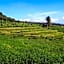 Budaya Kaki Rinjani
