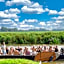 Vakantiehuis aan het water - vakantiepark de Schreiershoek