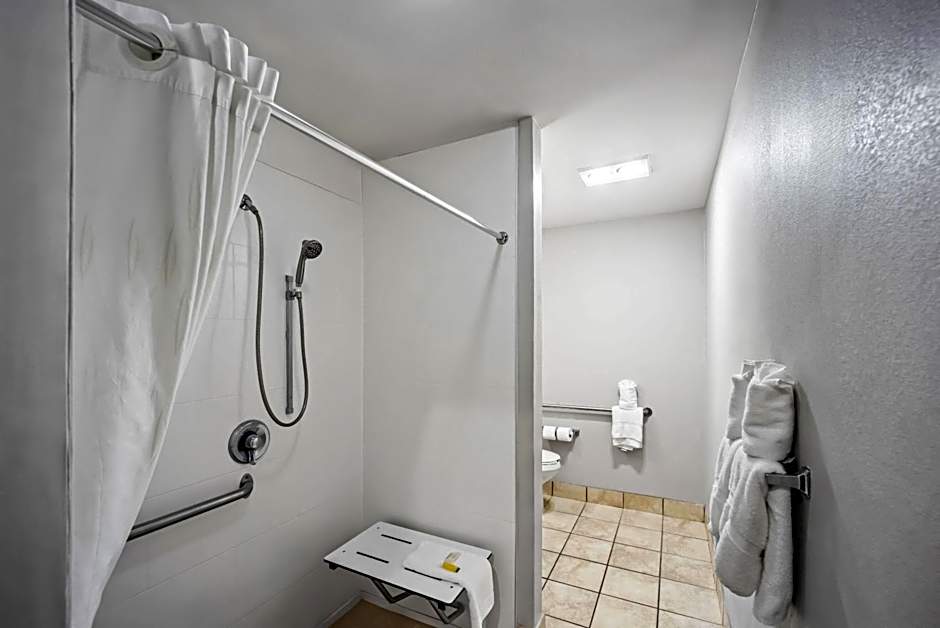 Microtel Inn & Suites by Wyndham Greensboro