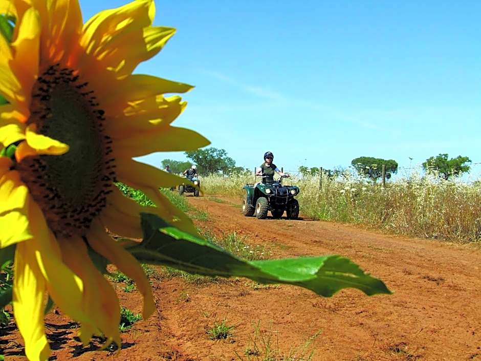 Vila Gale Alentejo Vineyard - Clube de Campo