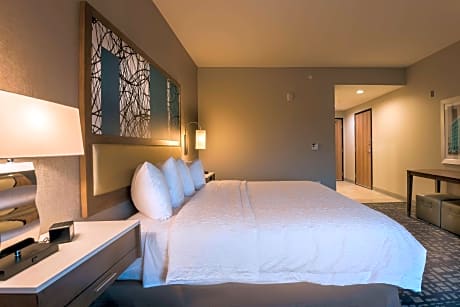 1 King Microwv/Fridge/Wet Bar Studio Suite Ns