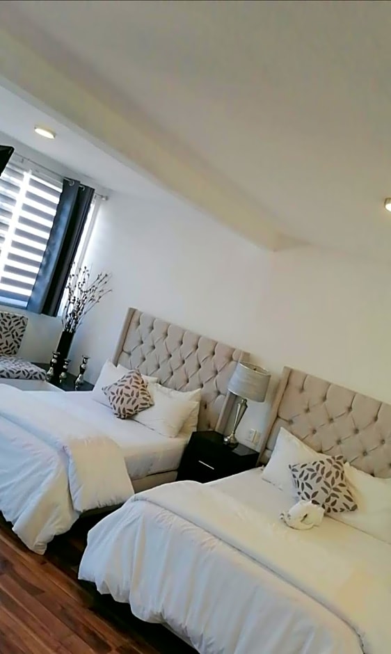 M Hoteles Concepto