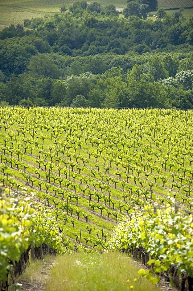 Domaine de la Soucherie - Chambres d'hôtes