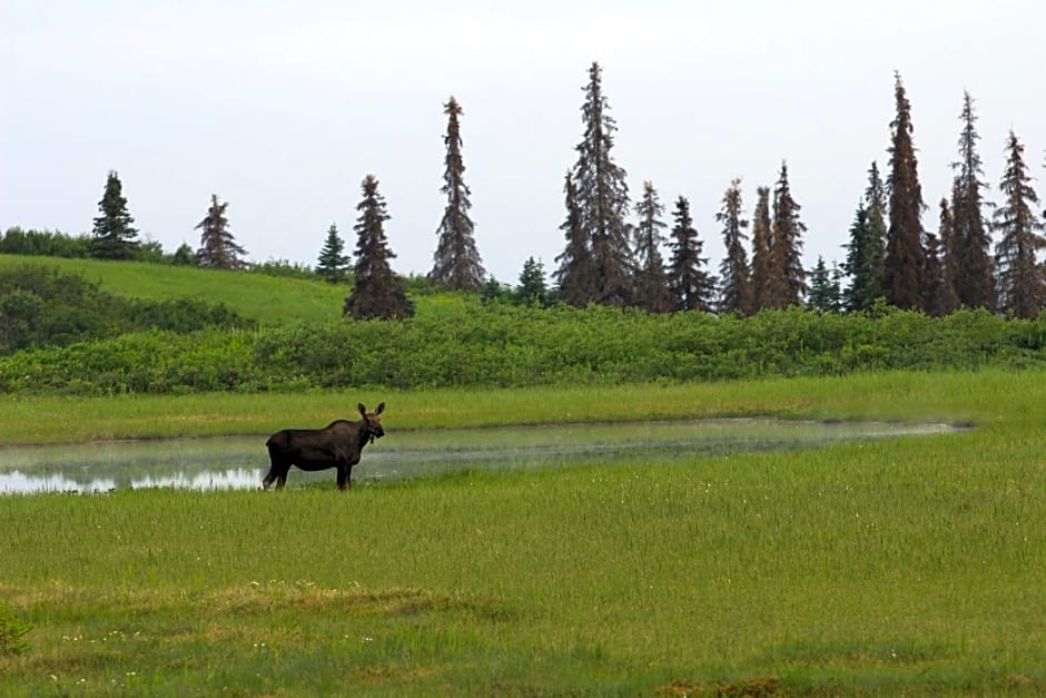 Caribou Lodge Alaska