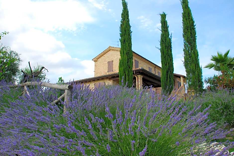 Agriturismo Tenuta Sol Alto