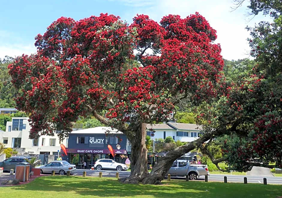 Beachpoint Apartments