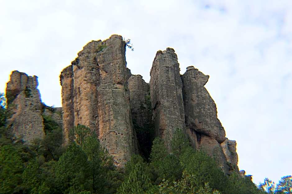 Hotel Paraiso del Oso