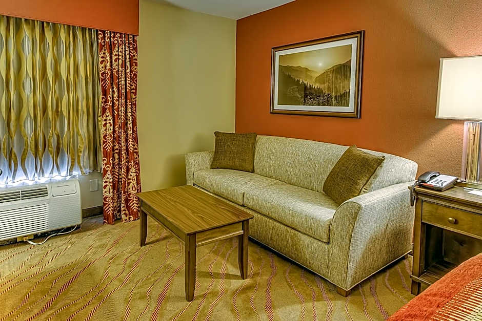 La Quinta Inn & Suites by Wyndham Pigeon Forge