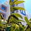Island Boutique Hotel