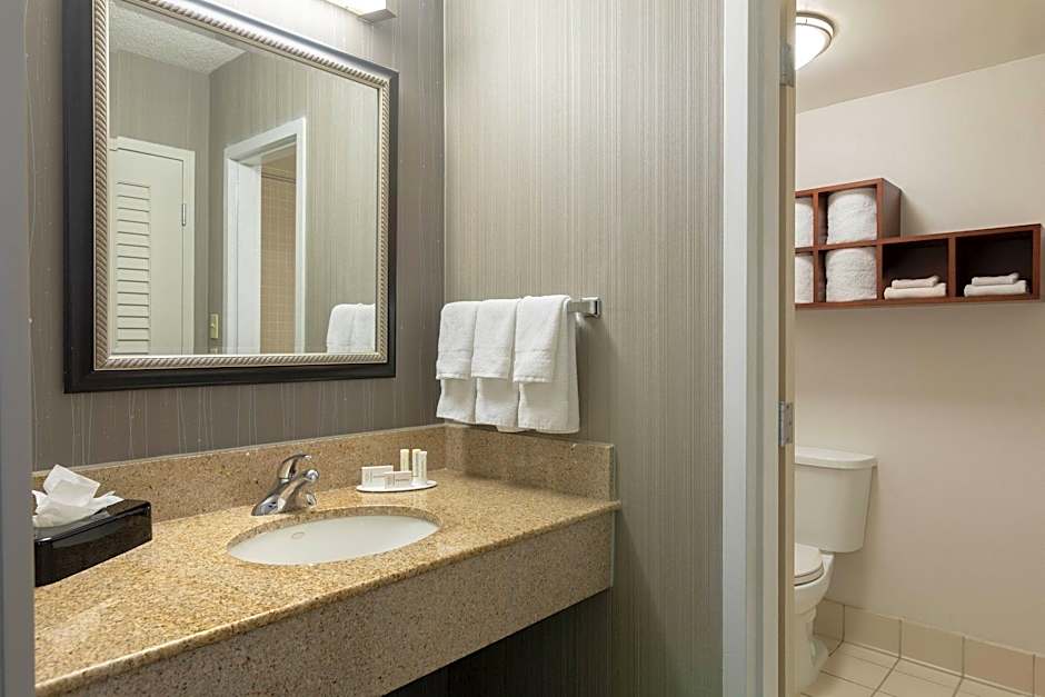 Courtyard by Marriott Atlanta Windy Hill/Ballpark