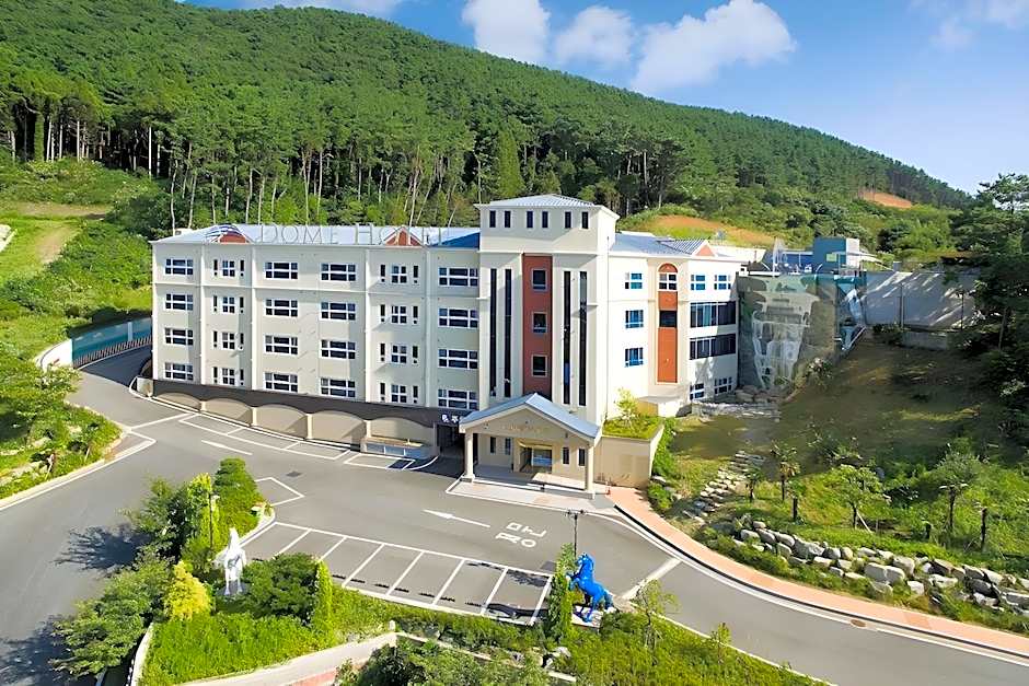 Dome Hotel Geoje