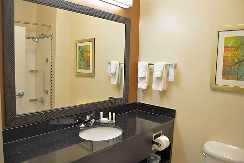 Fairfield Inn & Suites by Marriott Houston Channelview