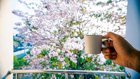 Double Room with Balcony (2 Adults + 1 Child)