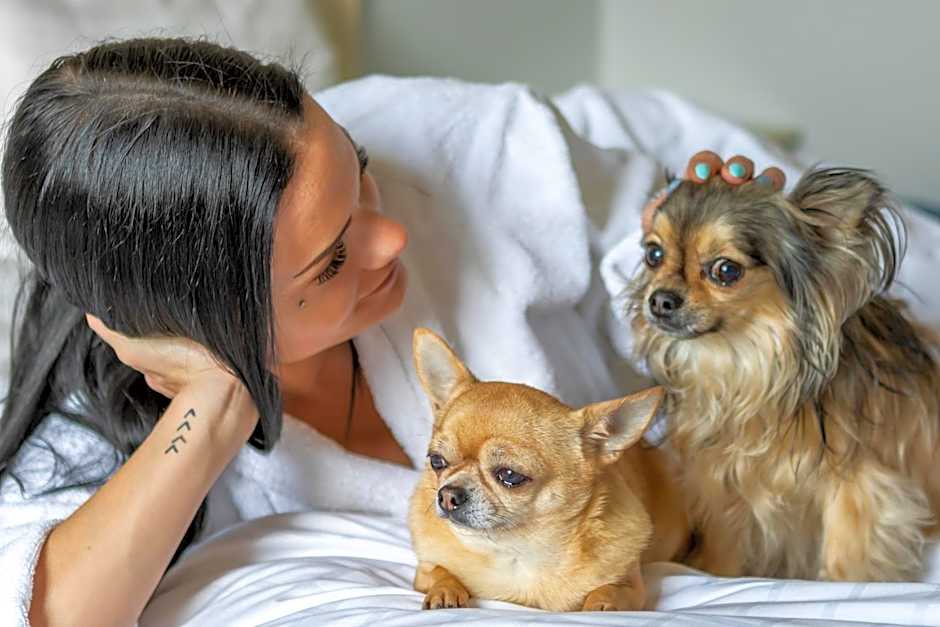 First Hotel Olofström