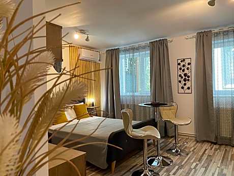 Urseni Studio Apartment