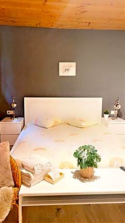 Double Room with Shared Bathroom