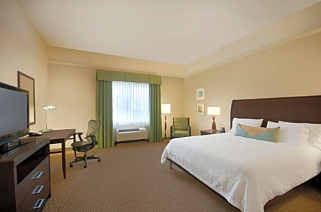 1 King Bed Junior Suite With Sofabed