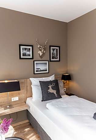 Comfort Plus Single Room