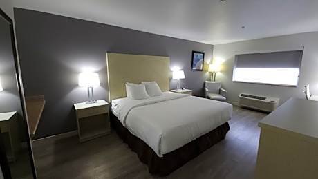King Room - Pet Friendly